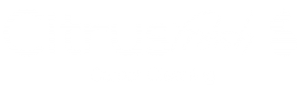 CitrusFresh Carpet Cleaning