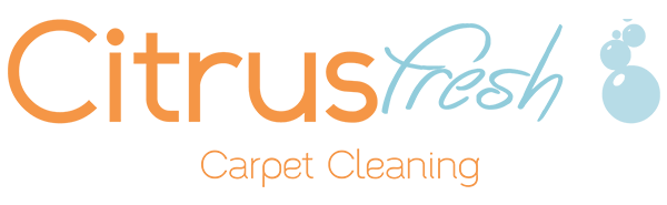 Carpet Cleaning Marietta Ga Upholstery Services