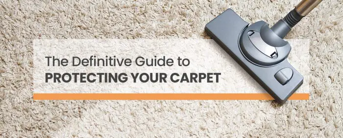 Best Carpet For Pets - The Ultimate Guide - Next Day Floors