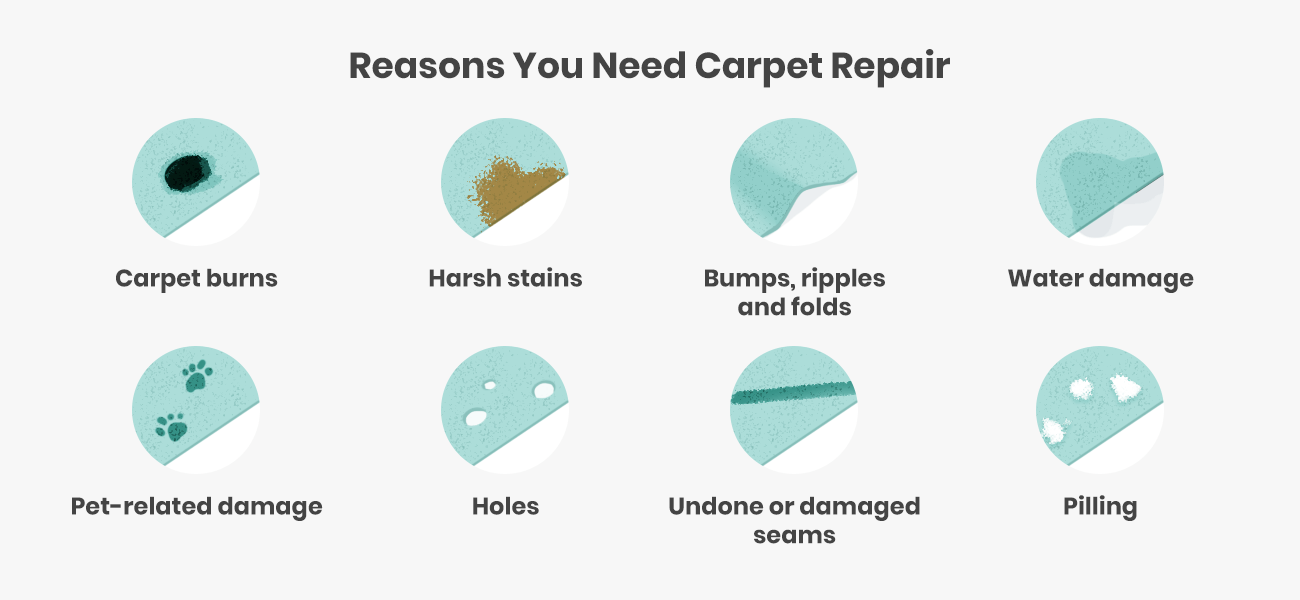 Reasons you Need Carpet repair