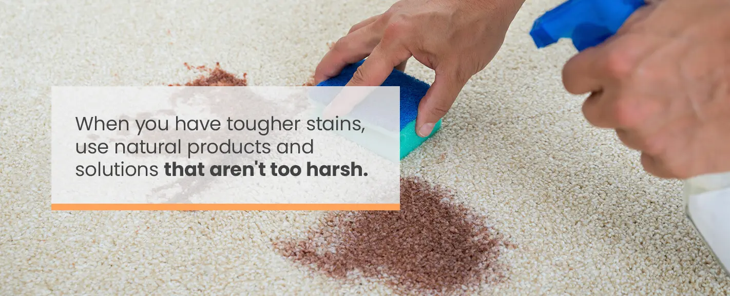 How To Remove Stains From Carpet Stain Removal Guide