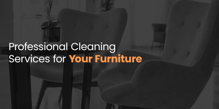 Professional carpet cleaning services for your furniture